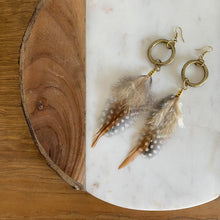 Load image into Gallery viewer, Fauna cruelty free feather earrings made from 2 types of ethically sourced chicken feathers in the colors brown, beige, black, and white. Each earring also features raw brass fold over clasps, large recycled o-rings, smaller rings, and french hook ear wires.