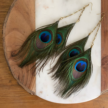 Load image into Gallery viewer, Fauna cruelty free feather earrings made from gorgeous ethically sourced peacock feathers. Each earring features 2 peacock feathers, brass chain, raw brass fold over clasps, o-rings, and french hook ear wires.