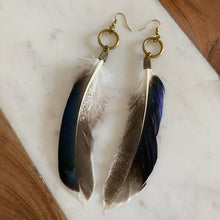 Load image into Gallery viewer, Cruelty Free Duck Feather Earrings