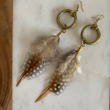 Load image into Gallery viewer, Close-up of Fauna cruelty free feather earrings made from 2 types of ethically sourced chicken feathers in the colors brown, beige, black, and white. Each earring also features raw brass fold over clasps, large recycled o-rings, smaller rings, and french hook ear wires. 
