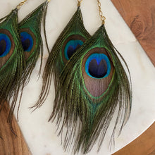 Load image into Gallery viewer, Close-up of Fauna cruelty free feather earrings made from gorgeous ethically sourced peacock feathers. Each earring features 2 peacock feathers, brass chain, raw brass fold over clasps, o-rings, and french hook ear wires.
