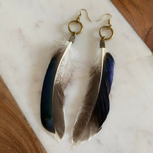 Load image into Gallery viewer, Close-up Fauna cruelty free feather earrings made from ethically sourced duck feathers. Beautiful colors found in each unique feather, from white and gray to iridescent hues of purples, greens, and blues. Each earring also features antique bronze fold over clasps, raw brass rings in different sizes, and raw brass french hook ear wires. 
