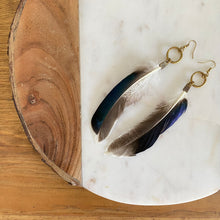 Load image into Gallery viewer, Fauna cruelty free feather earrings made from ethically sourced duck feathers. Beautiful colors found in each unique feather, from white and gray to iridescent hues of purples, greens, and blues. Each earring also features antique bronze fold over clasps, raw brass rings in different sizes, and raw brass french hook ear wires. 
